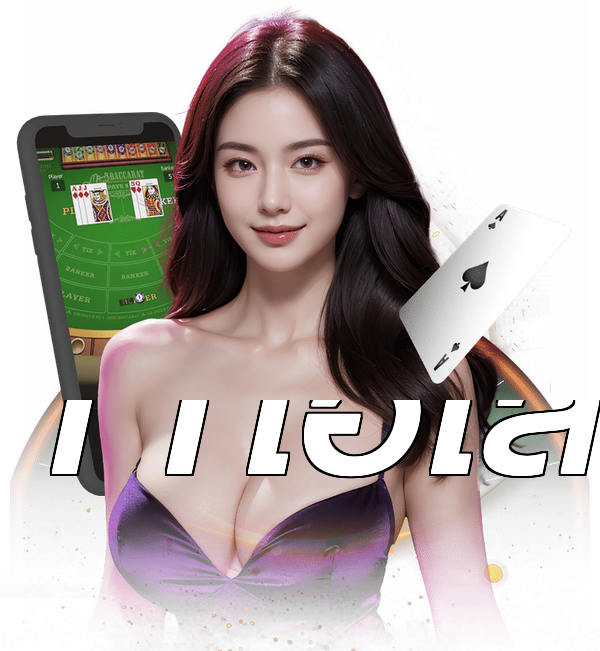 11ไฮโล